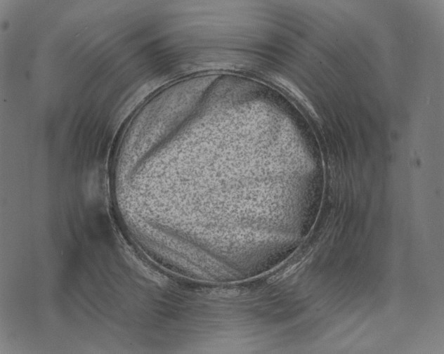 X0000074210890200609081528