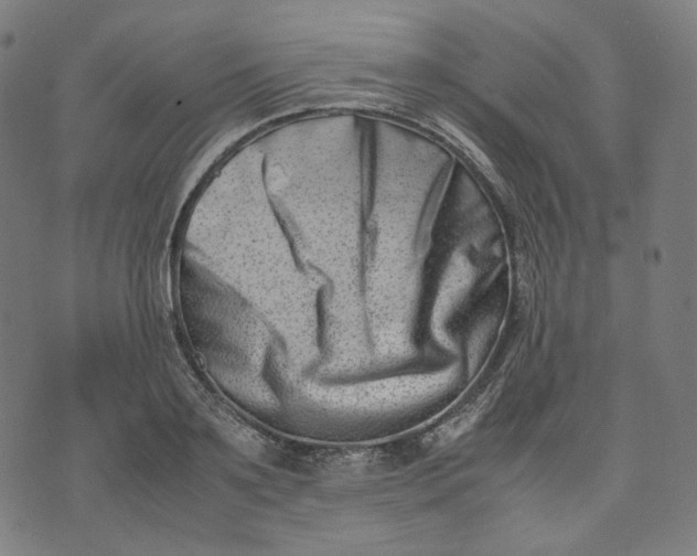 X0000074210891200609081528