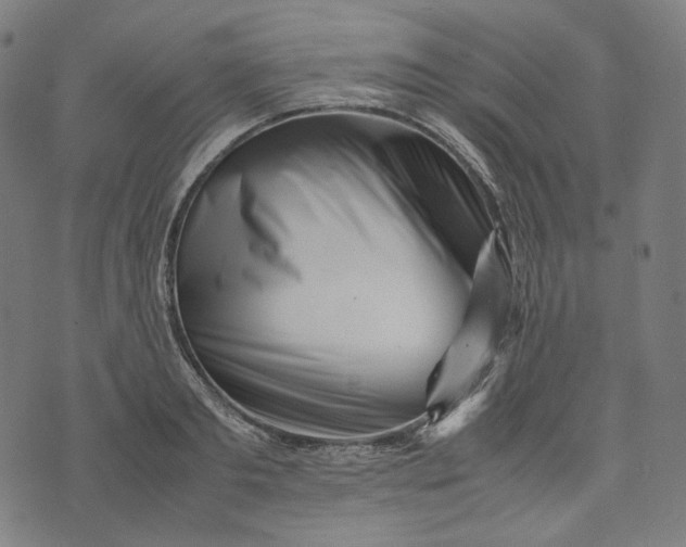 X0000074210893200609081528