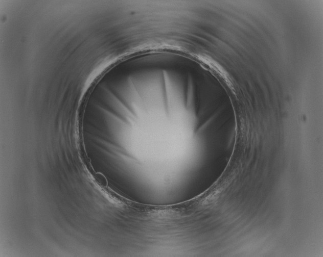 X0000074210894200609081528