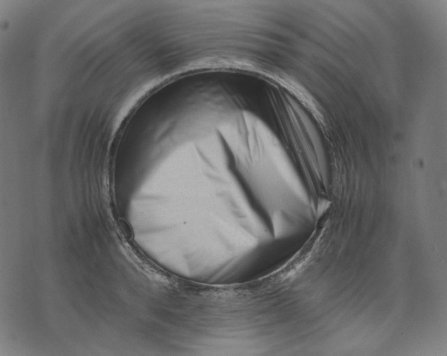 X0000074210896200609081528