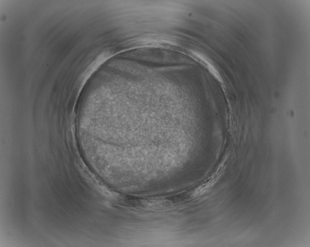 X0000074210899200609081528