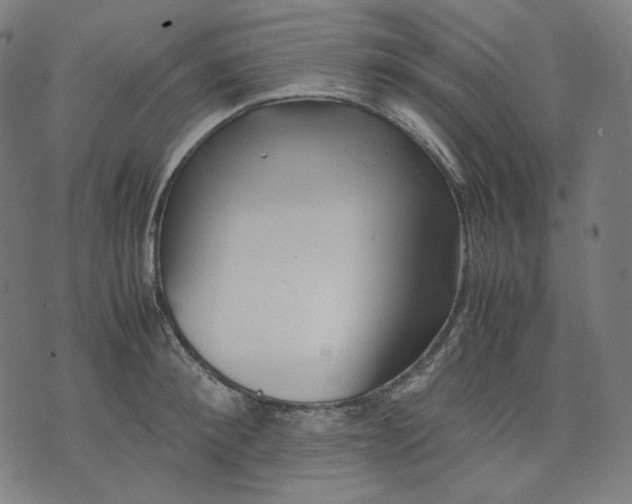 X0000074210900200609081528