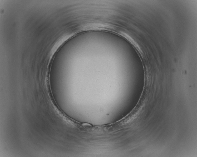 X0000074210901200609081528