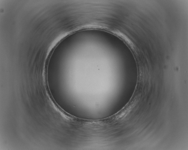 X0000074210902200609081528