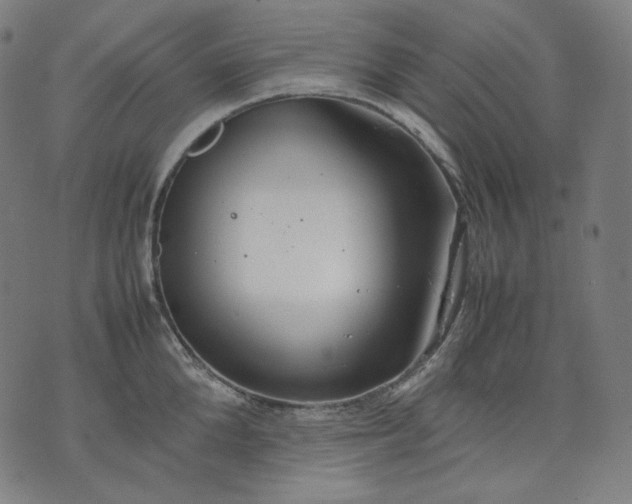 X0000074210904200609081528