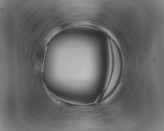 X0000074210905200609081528