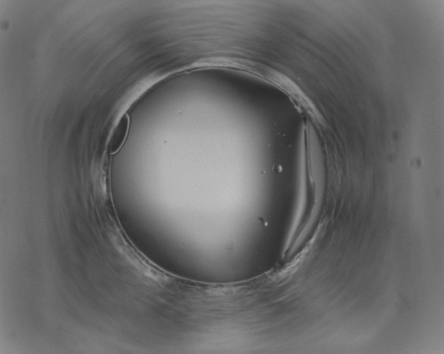 X0000074210908200609081528