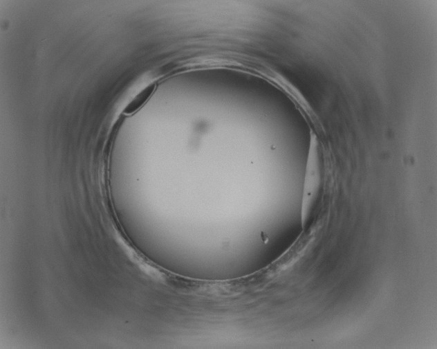 X0000074210909200609081528