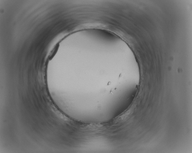 X0000074210912200609081528