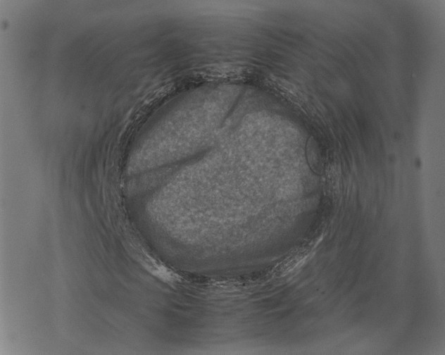 X0000074210913200609081527