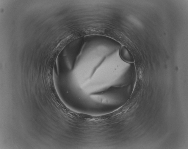 X0000074210915200609081527