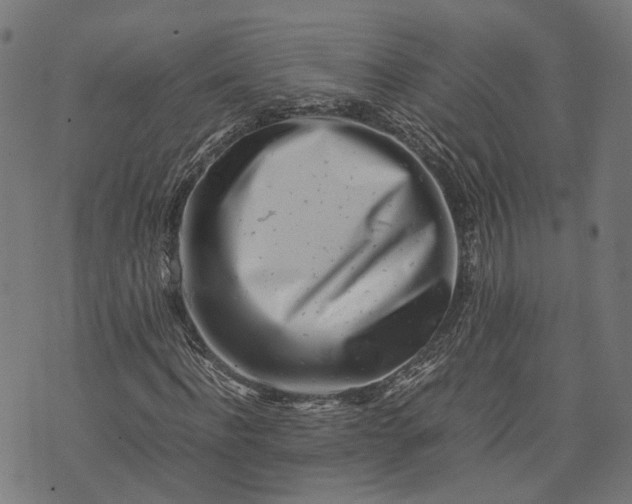 X0000074210916200609081527