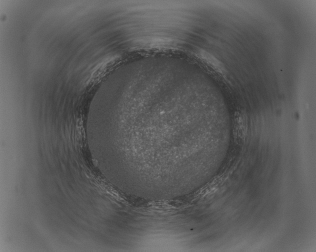 X0000074210918200609081527