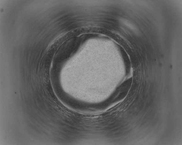 X0000074210919200609081527