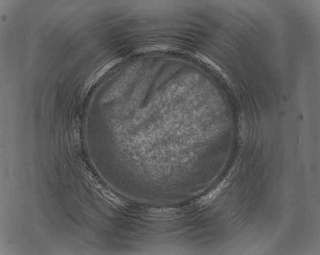 X0000074210921200609081527