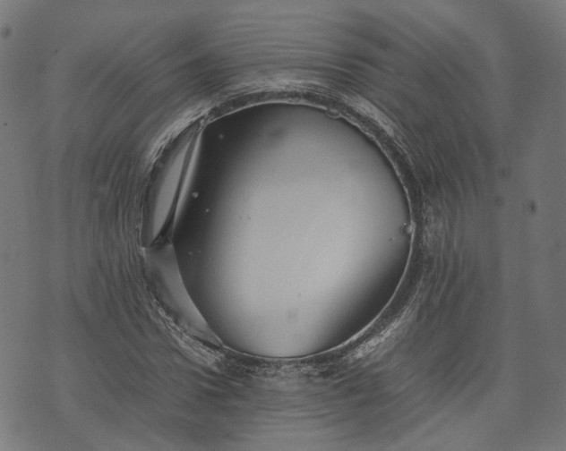 X0000074210922200609081527