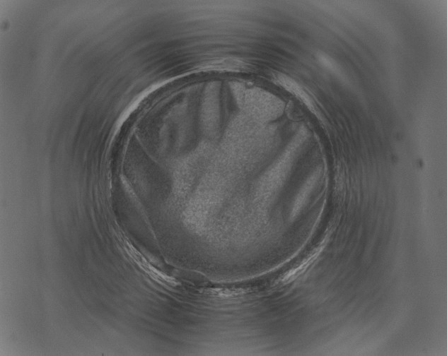 X0000074210923200609081527