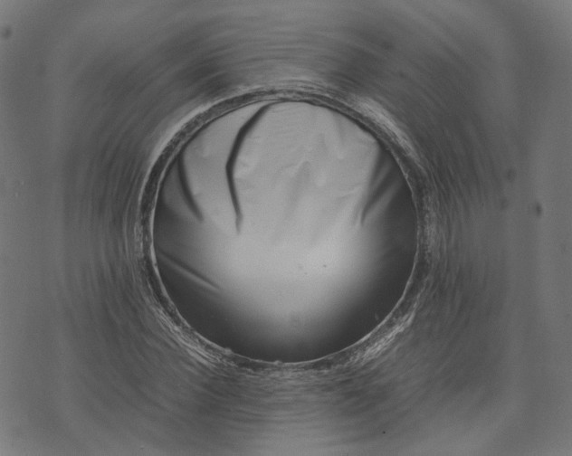 X0000074210924200609081527