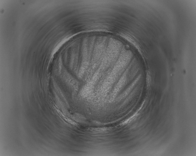 X0000074210925200609081527