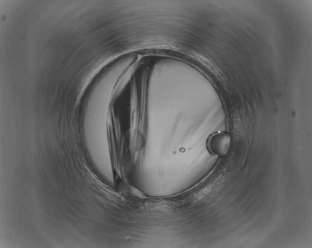 X0000074210926200609081527