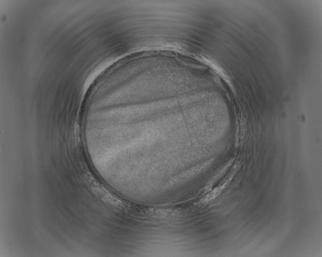 X0000074210928200609081527