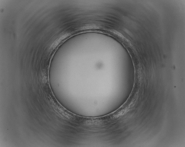 X0000074210929200609081527