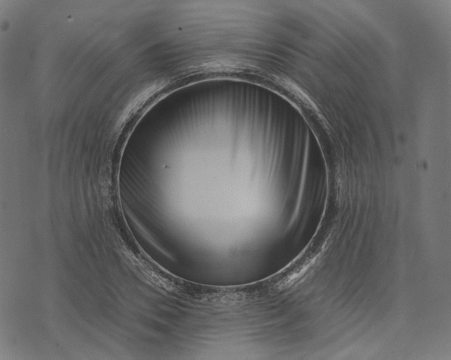 X0000074210930200609081527