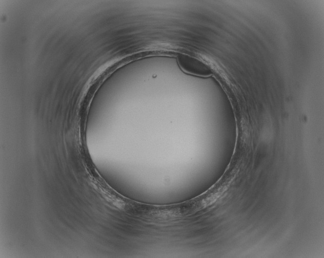 X0000074210931200609081527