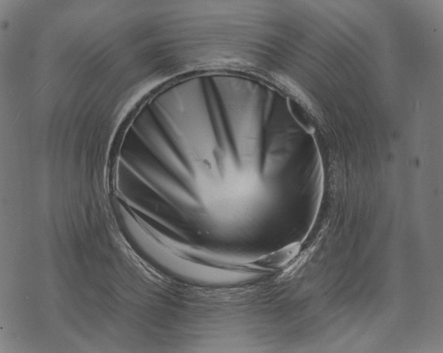 X0000074210932200609081527