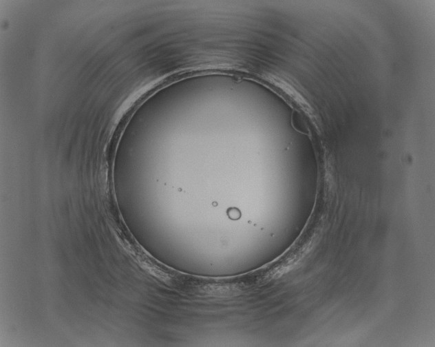 X0000074210933200609081527