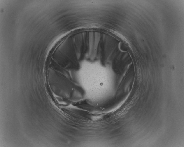 X0000074210935200609081527