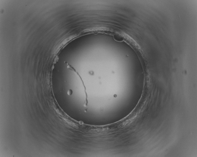 X0000074210937200609081527