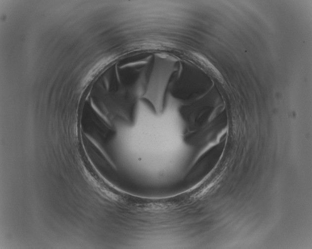 X0000074210938200609081527