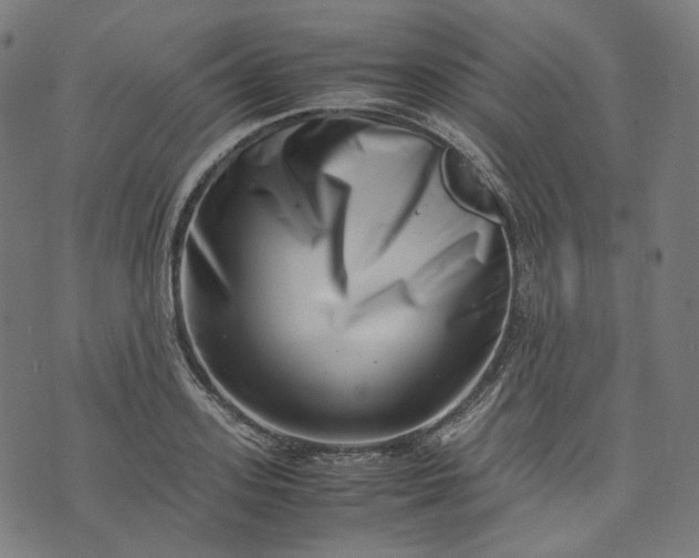 X0000074210939200609081527