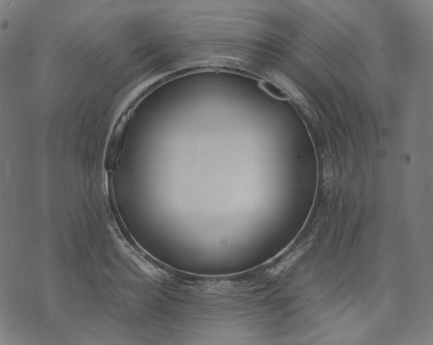 X0000074210940200609081527