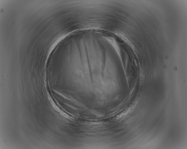 X0000074210941200609081527