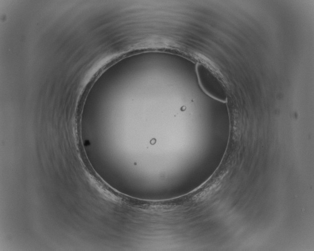 X0000074210942200609081527