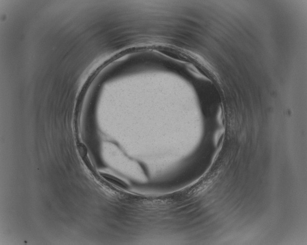 X0000074210943200609081527