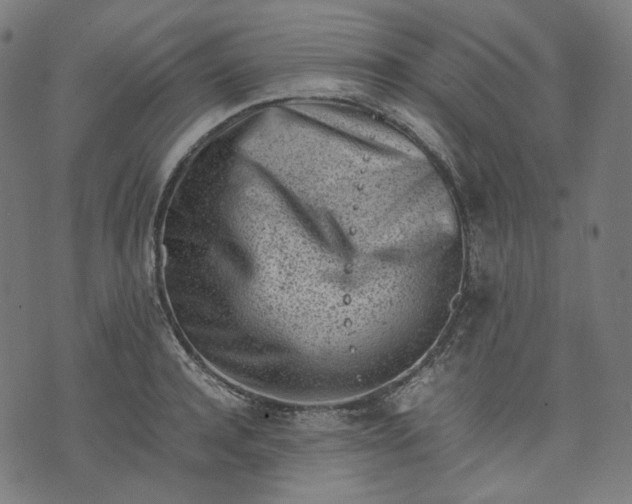 X0000074210944200609081527