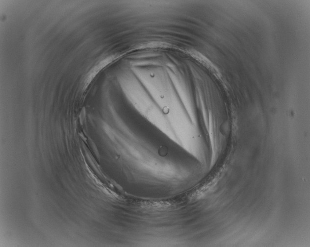 X0000074210945200609081527