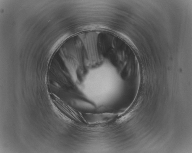 X0000074210946200609081527