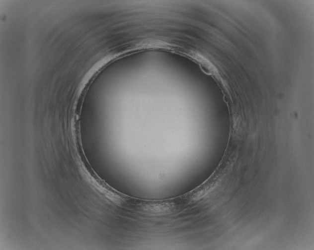 X0000074210947200609081527