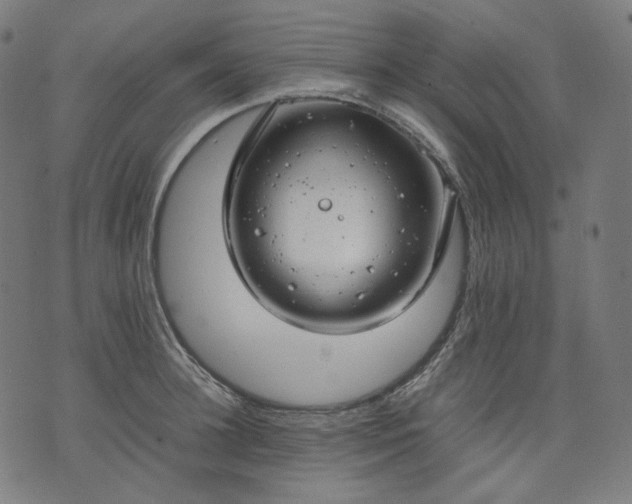 X0000074210948200609081527