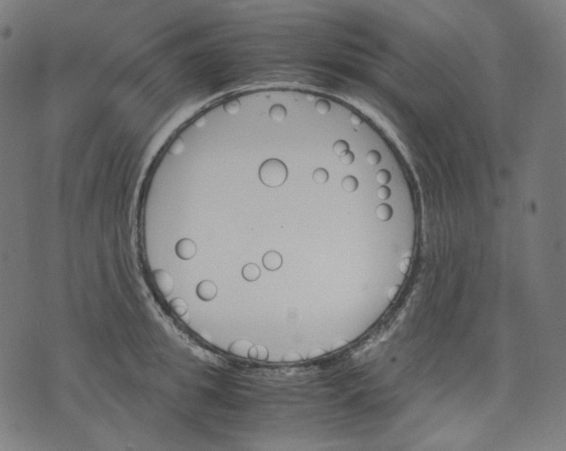 X0000074210949200609081527