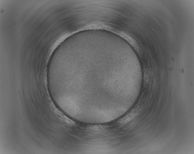 X0000074210950200609081527