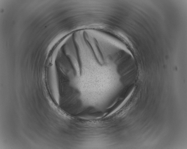 X0000074210952200609081528