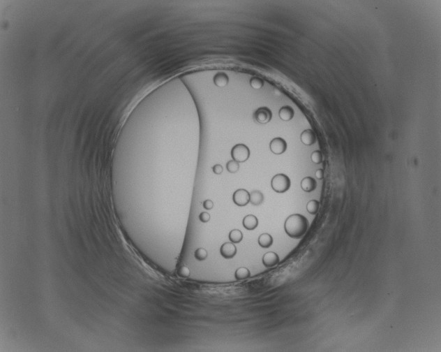 X0000074210953200609081528