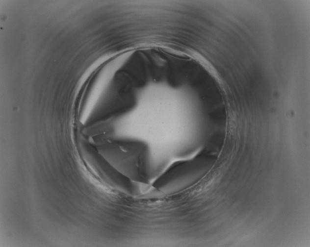 X0000074210955200609081528