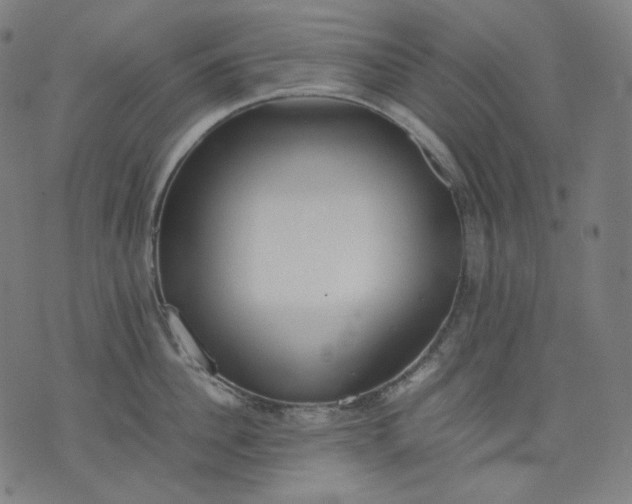 X0000074210956200609081528